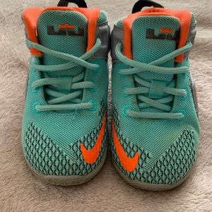 Lebron James Sneaker